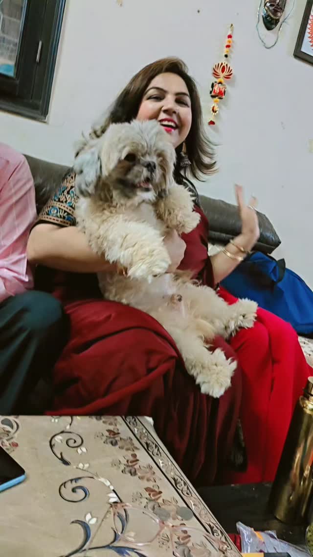 Fun time family #familylove #beauty #bruno #doglove❤️